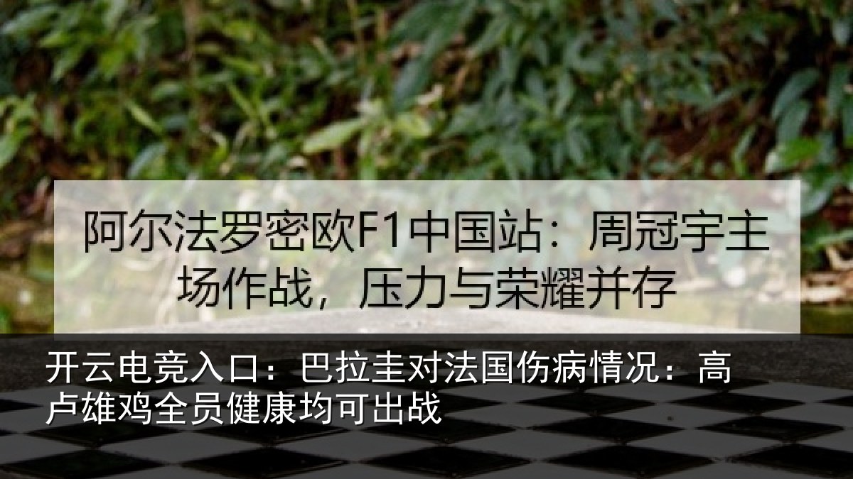 开云电竞入口：巴拉圭对法国伤病情况：高卢雄相关情况战