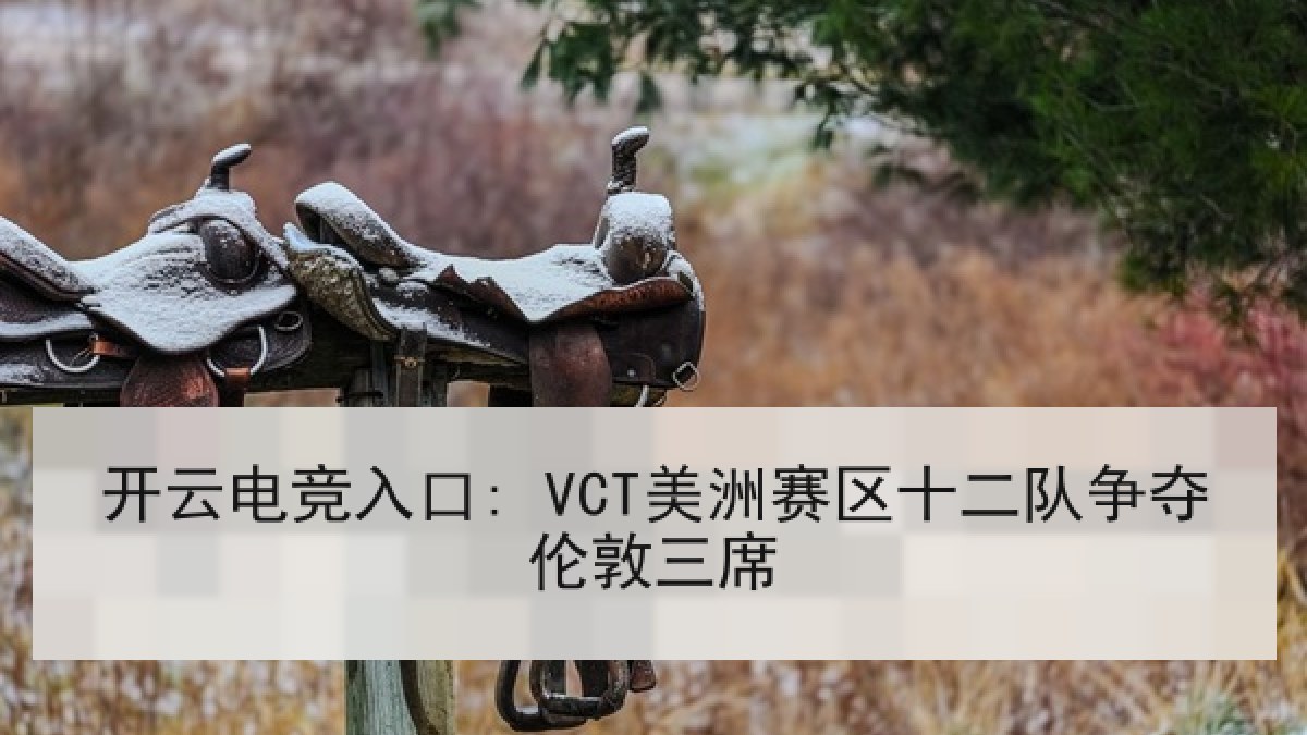 开云电竞入口: VCT美洲赛区十二队争夺伦敦三席