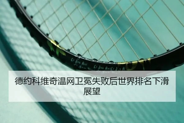 de-yue-ke-wei-qi-wen-wang-wei-mian-shi-bai-hou-shi-jie-pai-ming-xia-hua-zhan-wang-2-338.jpg