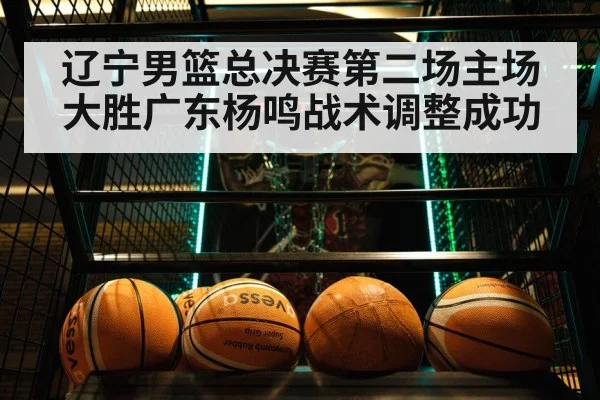 辽宁男篮总决赛第二场主场大胜广东杨鸣战术调整成功